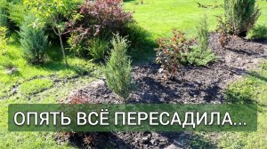 ОПЯТЬ ВСЁ ПЕРЕСАДИЛА. 21.08.2025г.