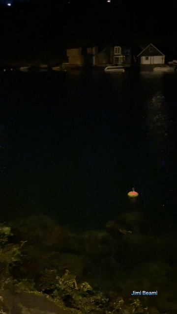 Рыба прыгает, а удочки то нету🥲