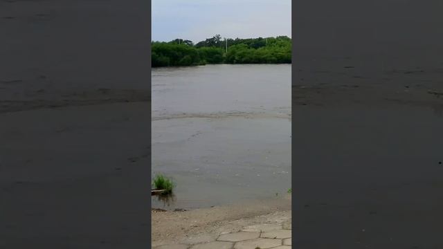 1000034245.mp4 смотреть онлайн