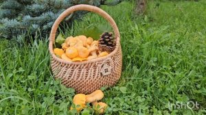 Мастер класс "Лукошко с колосками "