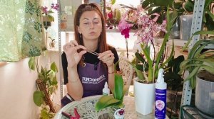 Секреты пересадки орхидей: Зачем вы все время терпите неудачи?