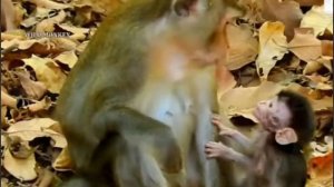 Какая же ты мать после этого ?    1000030271.mp4