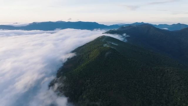 Deep House,Vocal House, Mix #226