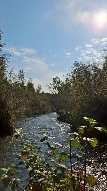 2025 август. конец лета