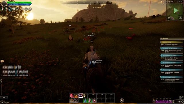 The Quinfall прокачка уровня собирательными профессиями.