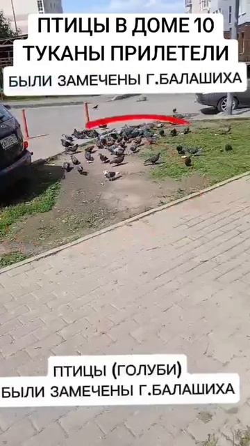 туканы смотреть онлайн