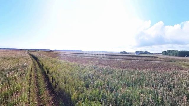 1760924 смотреть онлайн