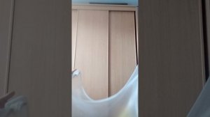 моё первое видео.😺