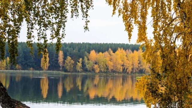 ЗДРАВСТВУЙ ЗОЛОТАЯ ОСЕНЬ !!! КРАСИВЫЙ ПОЗИТИВ ДЛЯ ВАС !!! смотреть онлайн