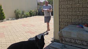 ✨️Анатольевич не находит себе места ✨️Весь день на кухне ✨️