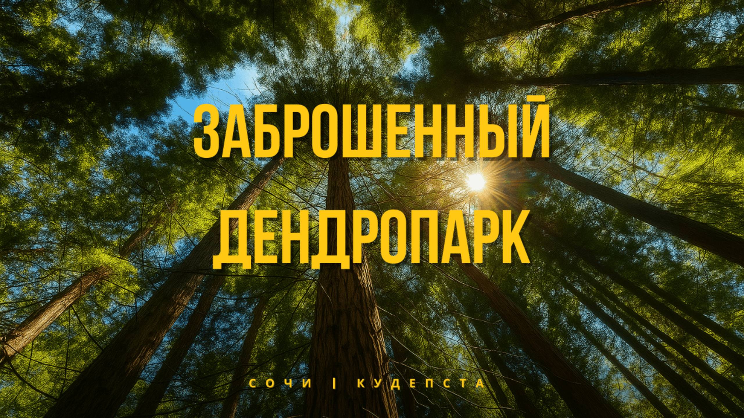 Сочи. Кудепстинский лесопарк