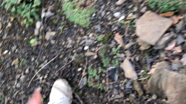 Сама виновата - не досмотрела Джими .(20.01.25) смотреть онлайн