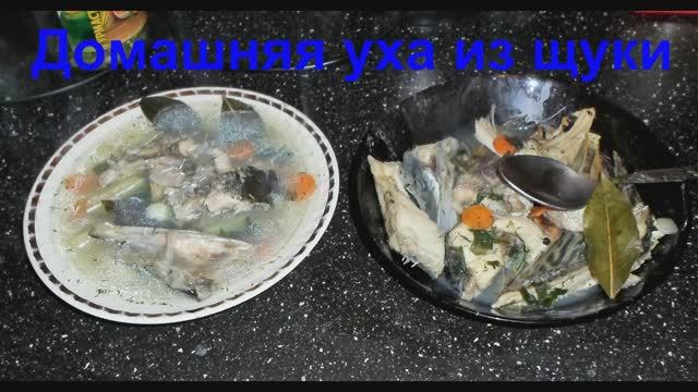 Уха из щуки.