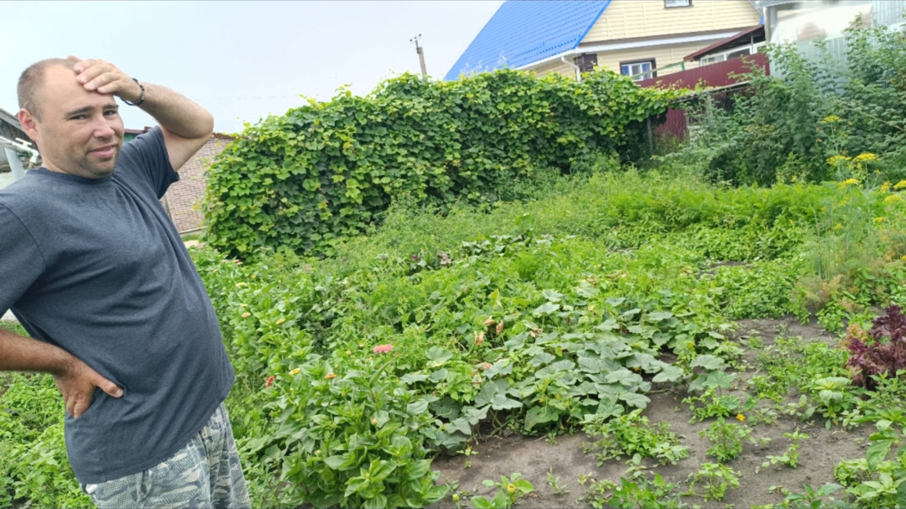 ВЕРНУЛИСЬ ДОМОЙ/ДОМ БЕЗ ХОЗЯИНА/ТАКОГО НЕ ОЖИДАЛИ УВИДЕТЬ смотреть онлайн