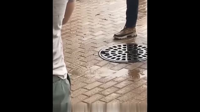 Ежедневная доза юмора