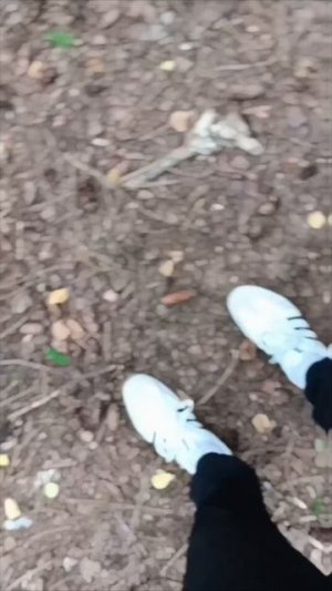 ЧЕЛОВЕК - ПАУК | БЕЛОЧКИ