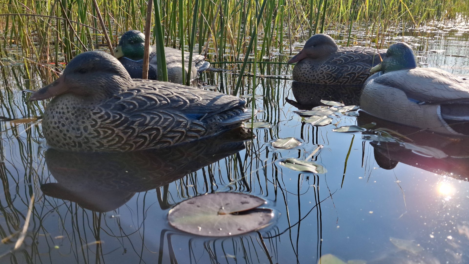 Мечта каждого охотника! Охота на утку.