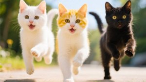 😹Пушистые комочки мило мяукают и бегут к своим друзьям🔥