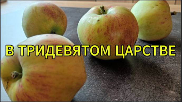 История о том, как Колька в тридевятом царстве побывал смотреть онлайн