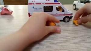 2 история собак и кошек