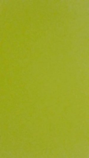 Живая изгородь из винограда