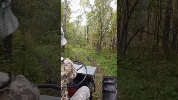 Опять сломался болотоход #болотоход