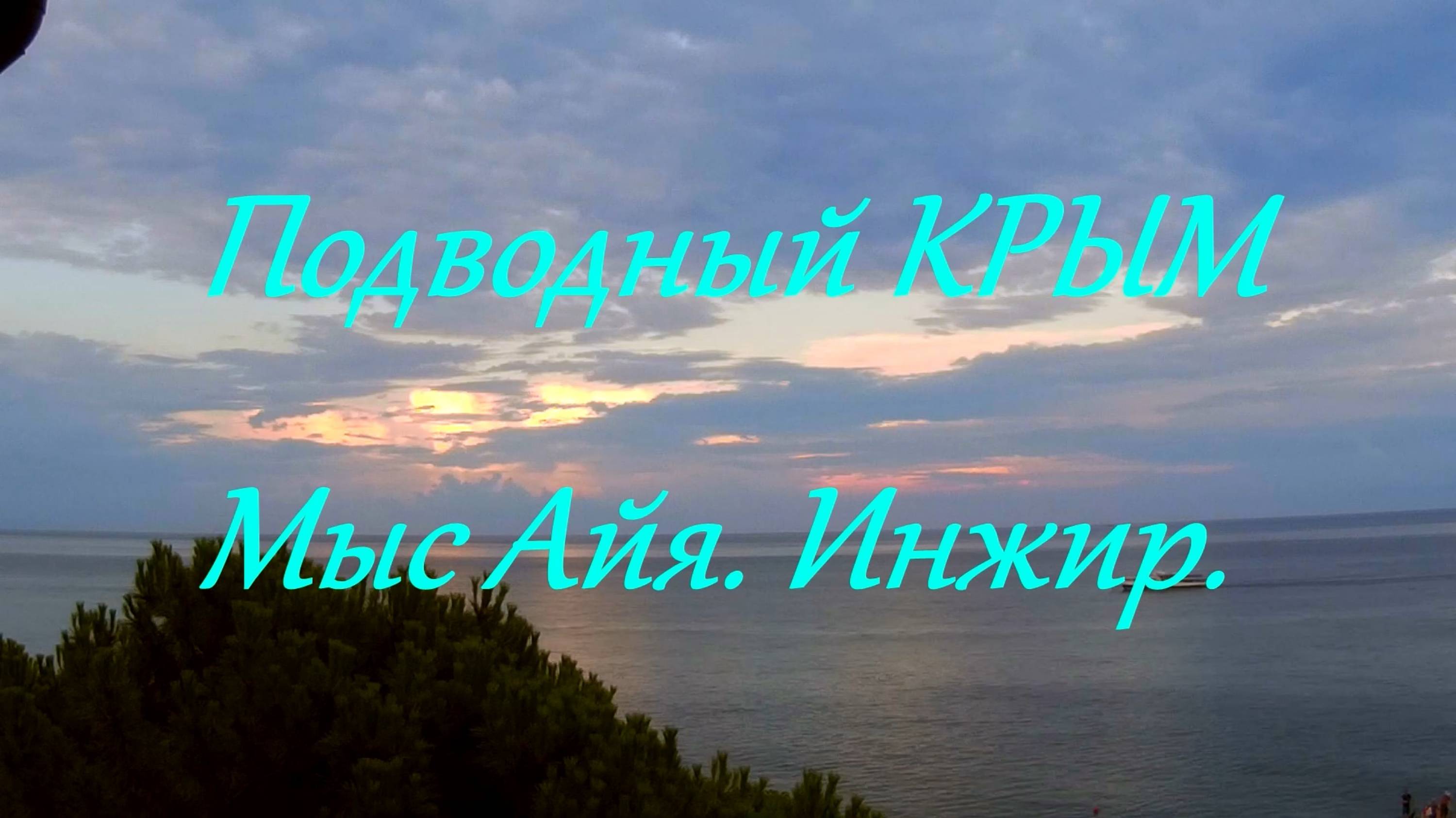 Подводный мир Крыма . Мыс Айя. Инжир. смотреть онлайн