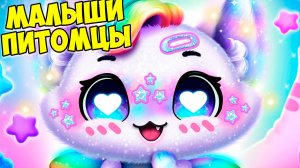 ❤️ПУШИСТИКИ МИЛАШКИ❤️новые малыши питомцы☺️флавсис