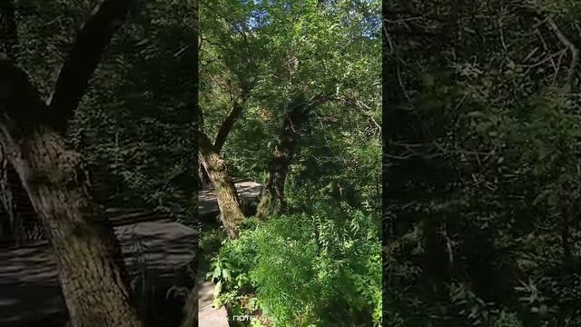 Для специалистов помогающих профессий