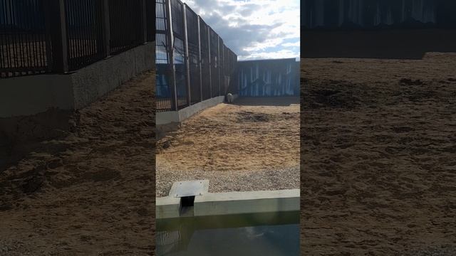 Белый медведь смотреть онлайн