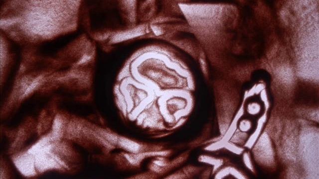 Космическая история смотреть онлайн