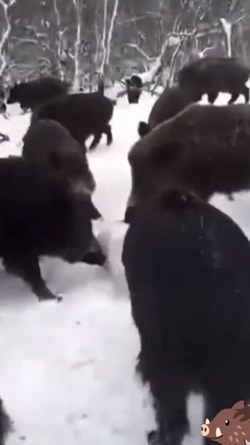 Распродажа...🤓