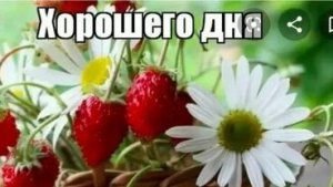 С удачным днём. Музыкальная открытка пожелание.