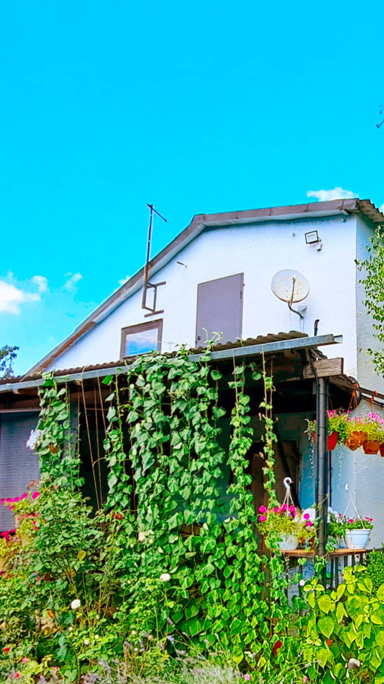 Роскошный дом в окружении природы: ваш уголок спокойствия! смотреть онлайн