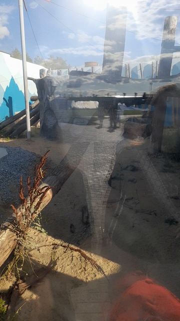 Снежный барс и красный волк смотреть онлайн