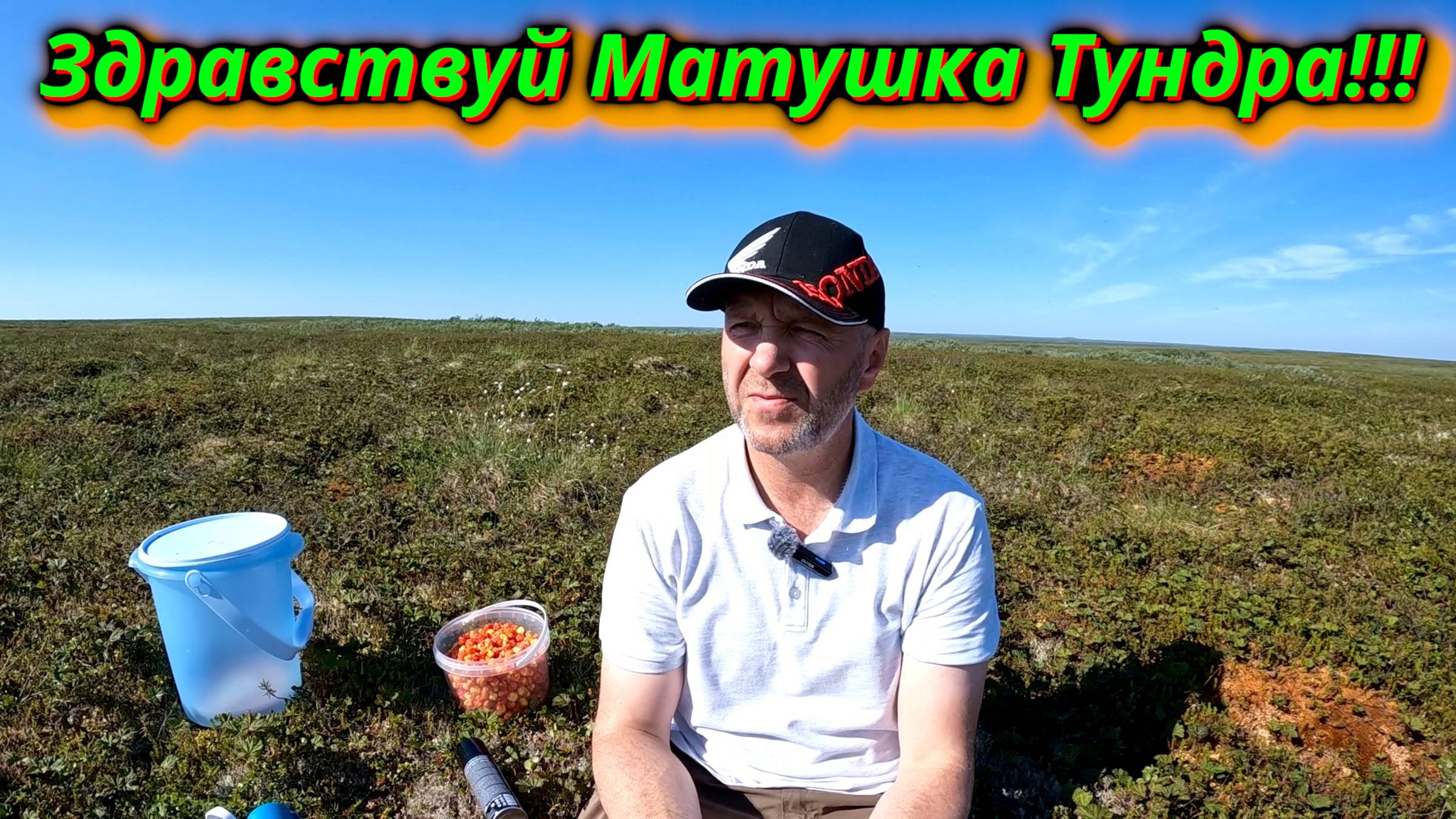 ЗДРАВСТВУЙ МАТУШКА ТУНДРА! смотреть онлайн