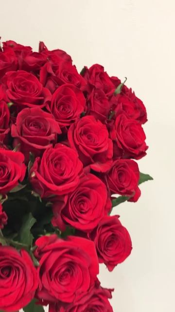 Красные розы