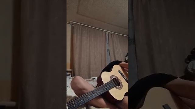 улитка рози