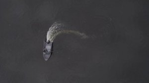 Мотолодка "SIBERIA-S4" и ПЛМ "PARSUN F60FEL-T-EFI"