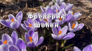 Фредерик Шопен. Ноктюрн № 2. Классическая музыка