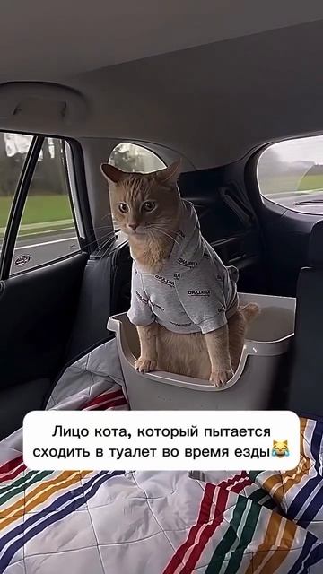 Тяжко😁😁😁 смотреть онлайн