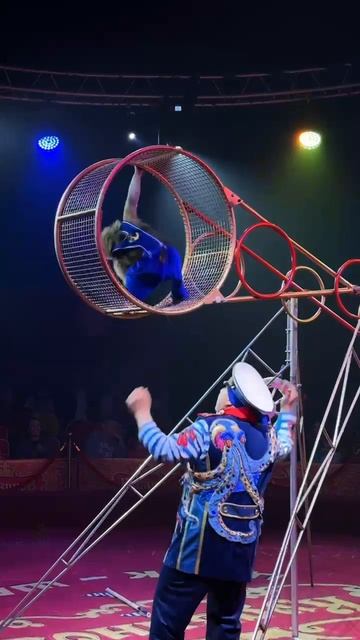 Приглашаем Вас ! смотреть онлайн