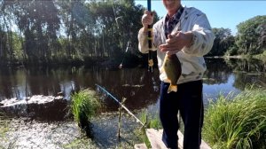 Ловлю карасей. Набрал грибочков. Моховики - маслята.