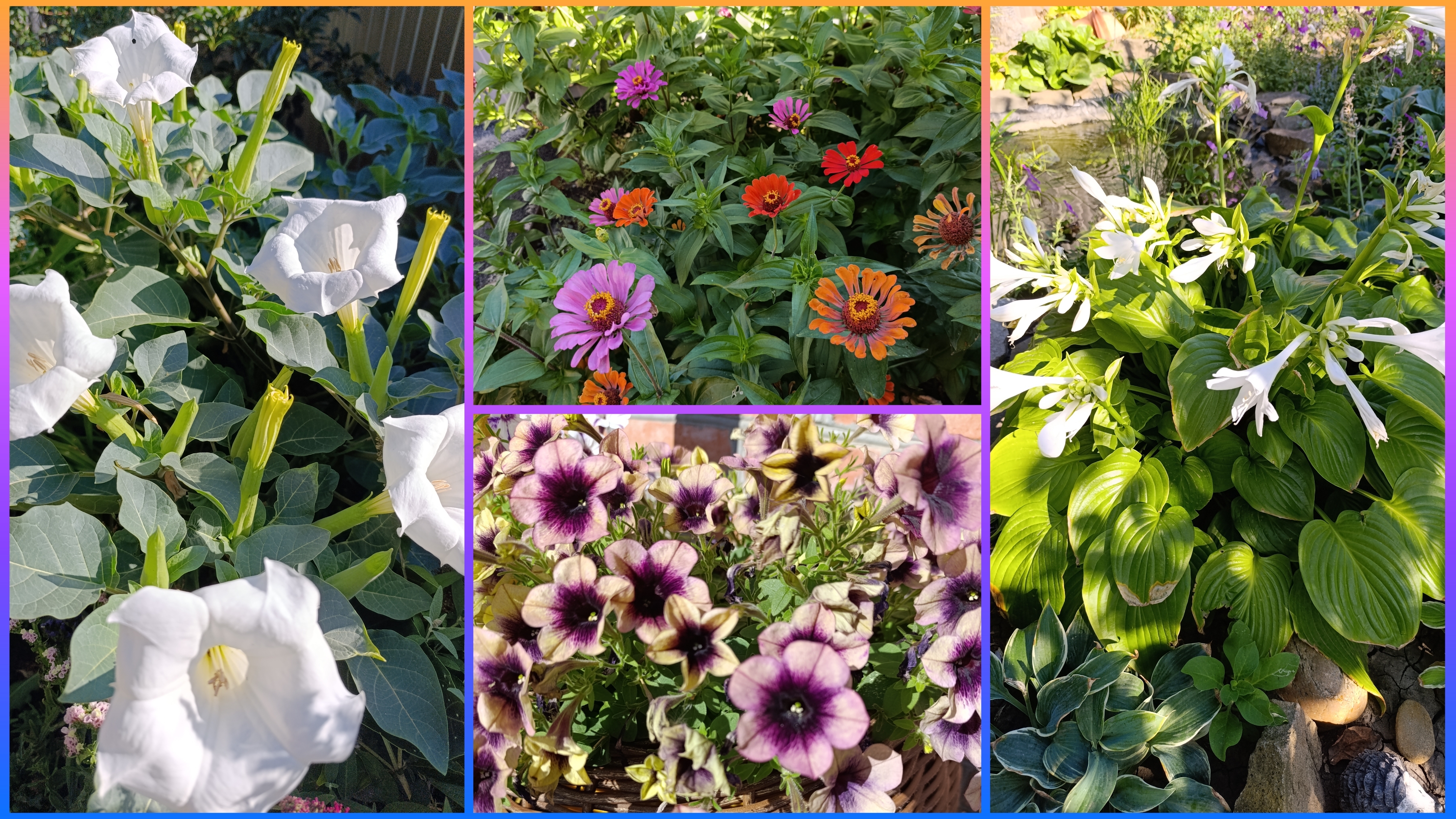 Моё утро, пятница. Всем привет👋🏻... смотреть онлайн