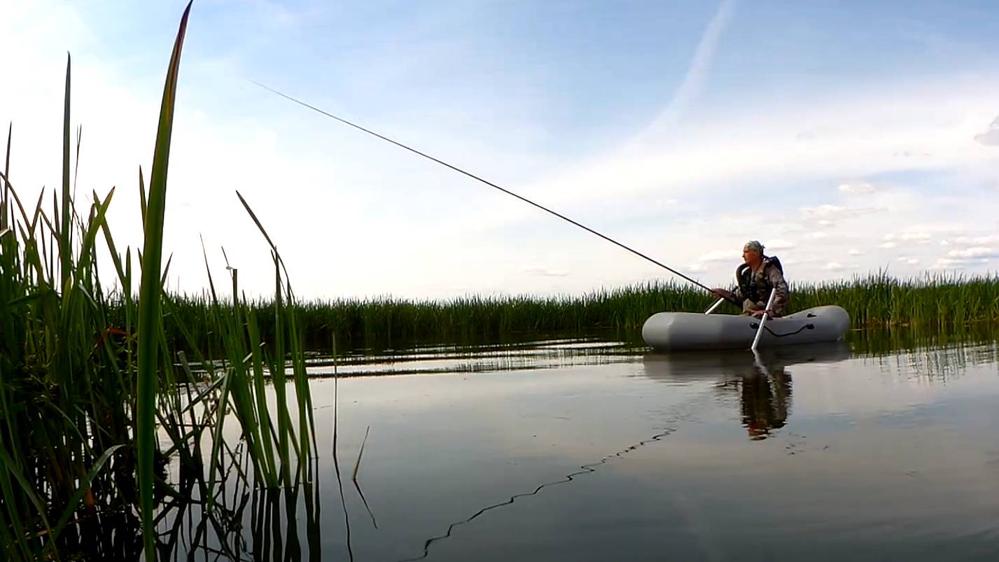 Здоровые ЗОЛОТЫЕ БАТОНЫ гнут удочку в дугу! Ловля красноперки НА УДОЧКУ