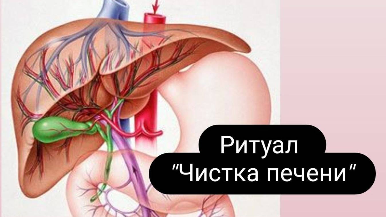 Ритуал _Чистка печени_ #ритуал #чисткапечени #чистка смотреть онлайн