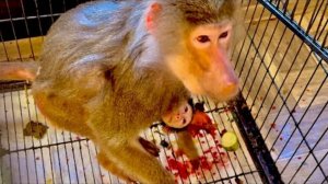 После драки с Люсей Лида поняла что переборщила и стала рваться к подруге)))