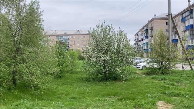 Мой дом - Россия (клип)