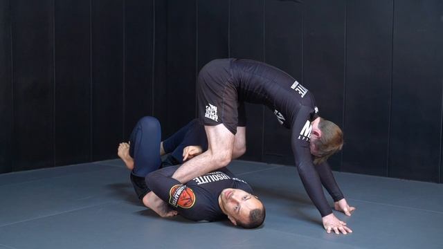 4 - Butterfly to SLX