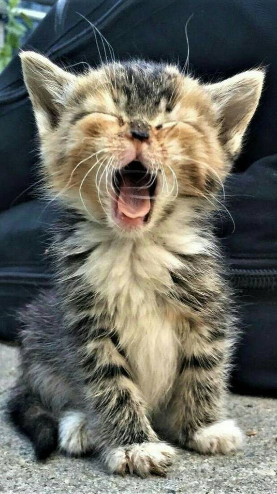 Круче всех смотреть онлайн